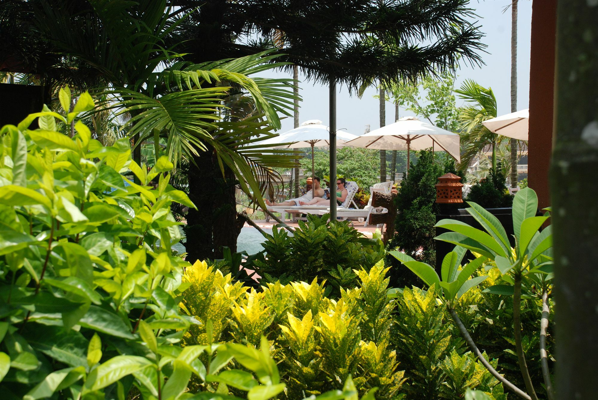 הוי אן Pho Hoi Riverside Resort מראה חיצוני תמונה